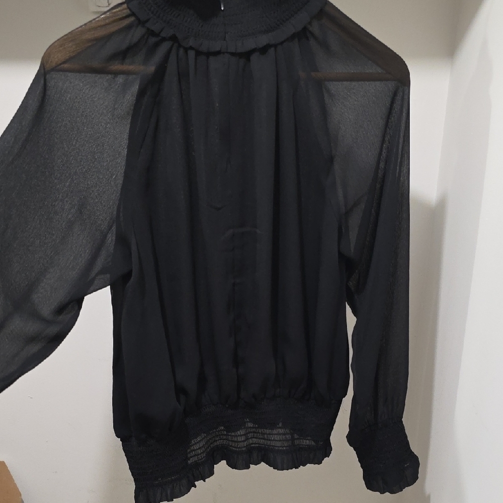 Romantic Black Sheer Long Sleeve Blouse W/ Elasticized Cuffs & Upper Back Zipper